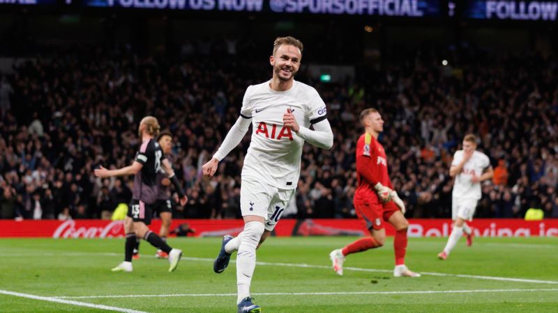 Soi Kèo Trận Đấu: Tottenham vs Fulham