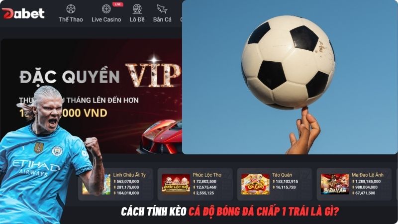Cá Độ Bóng Đá Chấp 1 Trái