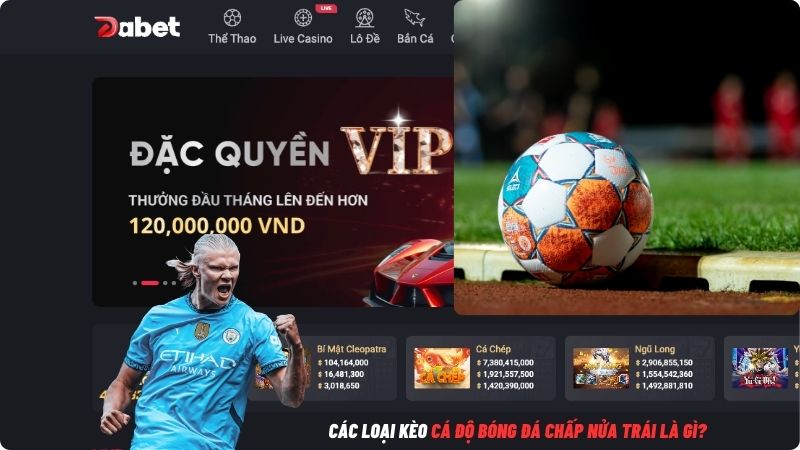 Các Loại Kèo Cá Độ Bóng Đá Chấp Nửa Trái Là Gì?