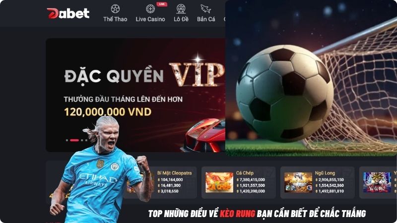 Top những điều về kèo rung bạn cần biết để chắc thắng