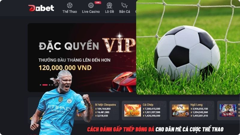 Cách đánh gấp thếp bóng đá cho dân mê cá cược thể thao