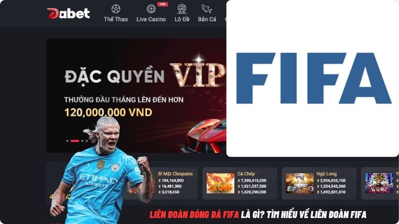 Liên đoàn bóng đá Fifa