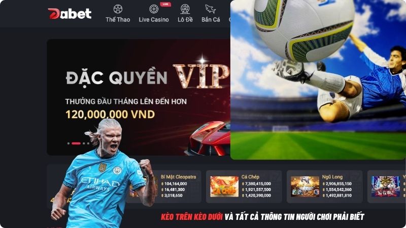 Kèo trên kèo dưới và tất cả thông tin người chơi phải biết