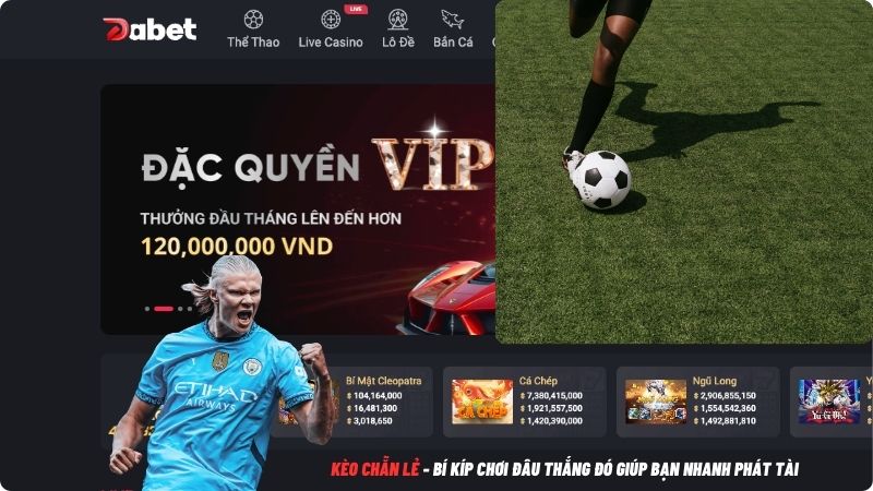 kèo chẵn lẻ