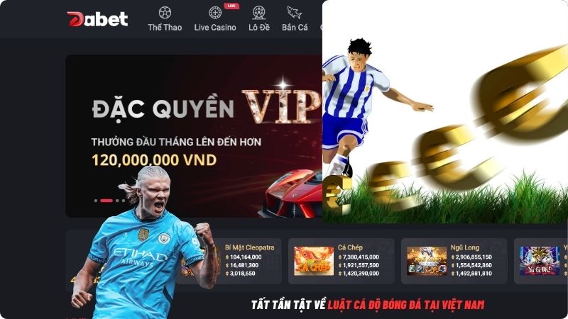 luật cá độ bóng đá tại Việt Nam