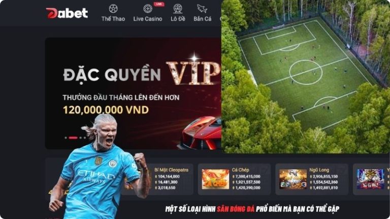 Một Số Loại Hình Sân Bóng Đá Phổ Biến Mà Bạn Có Thể Gặp